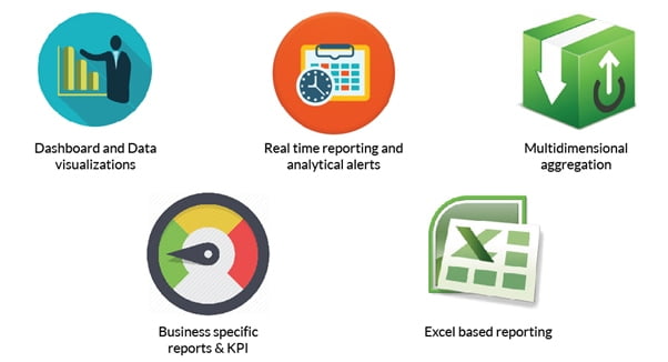 Spectrum ERP Business Intelligence Solution
