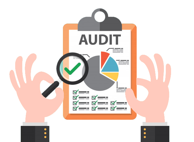 ERP Post Implementation Audit