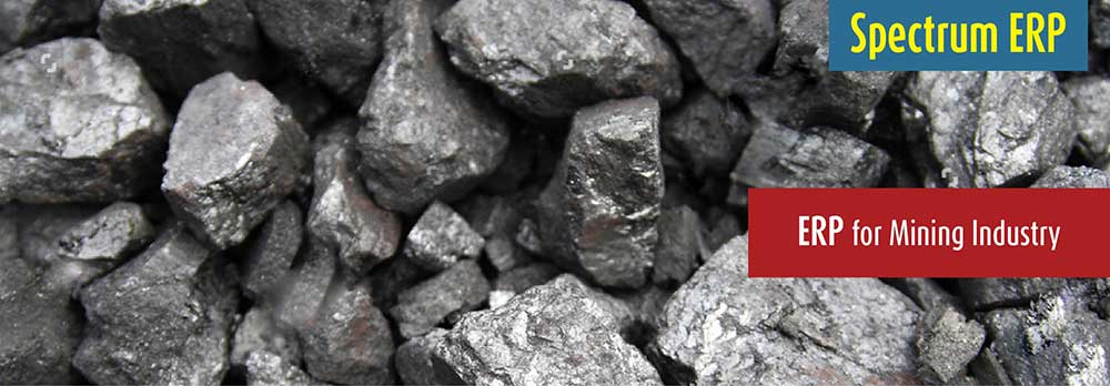 ERP for Mining